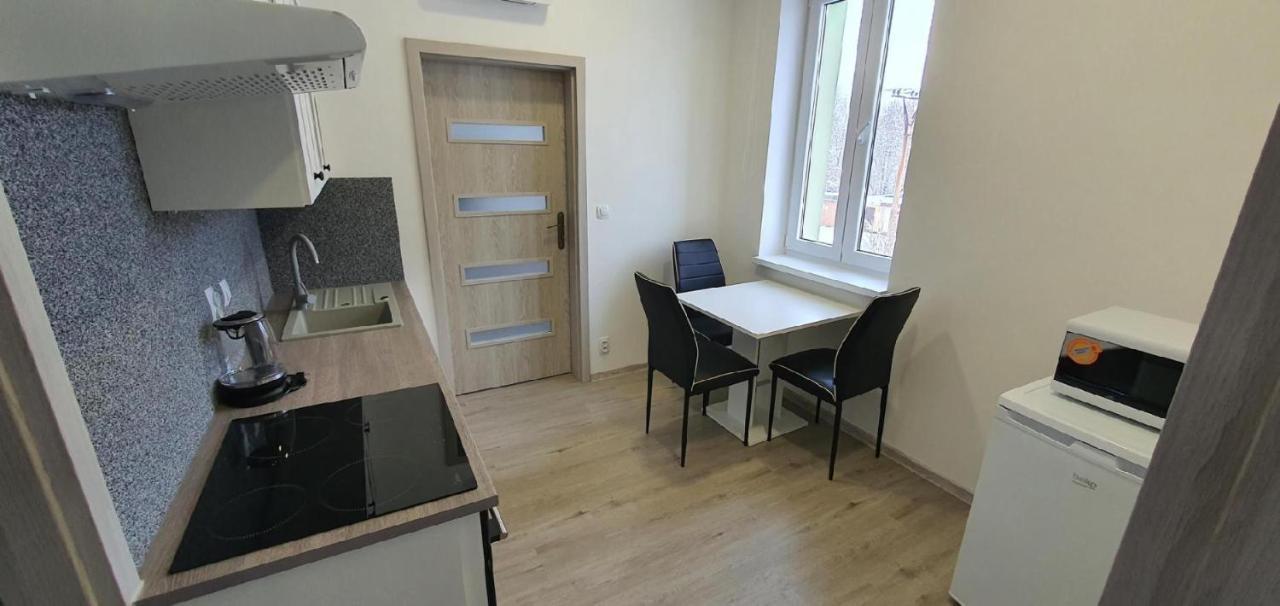 Apartment 35M2 Karlovy Vary Esterno foto