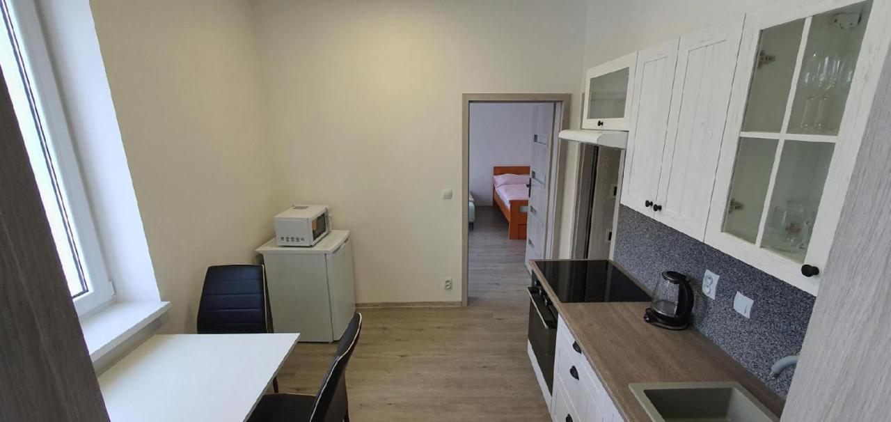 Apartment 35M2 Karlovy Vary Esterno foto