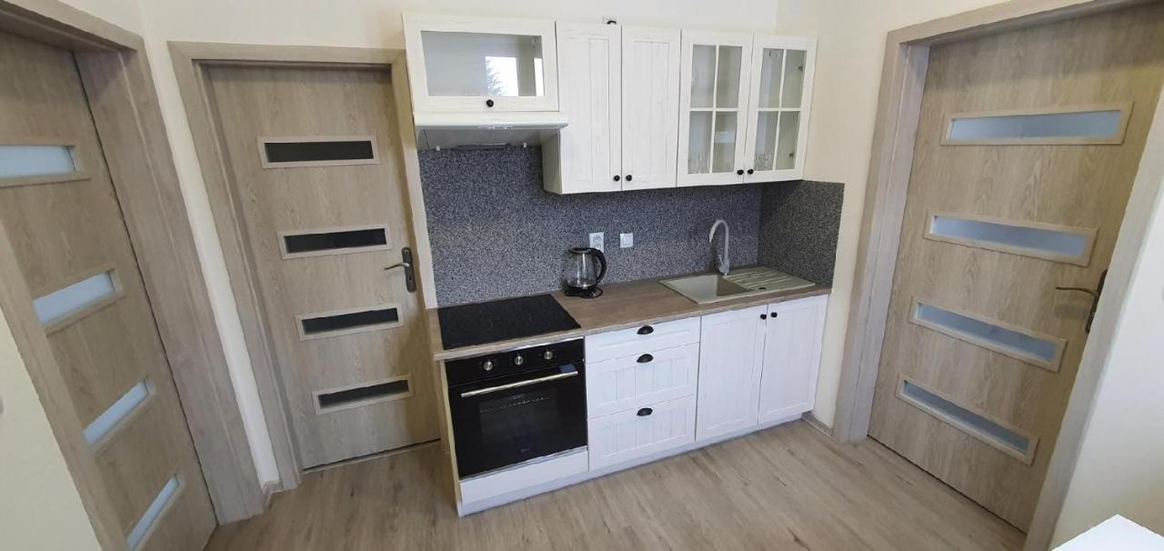 Apartment 35M2 Karlovy Vary Esterno foto